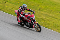 PJ-Motorsport-2019;anglesey-no-limits-trackday;anglesey-photographs;anglesey-trackday-photographs;enduro-digital-images;event-digital-images;eventdigitalimages;no-limits-trackdays;peter-wileman-photography;racing-digital-images;trac-mon;trackday-digital-images;trackday-photos;ty-croes
